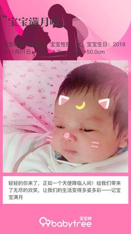 journal_insert_pic_1138627004