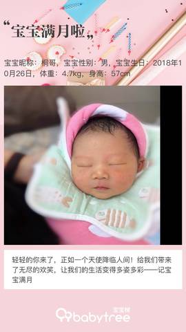 journal_insert_pic_1138902622