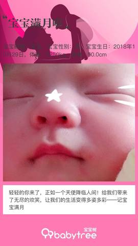 journal_insert_pic_1138626044