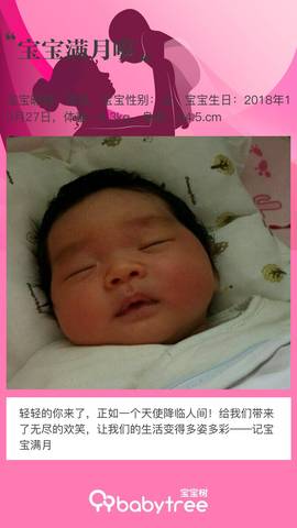 journal_insert_pic_1139605213