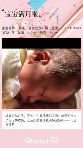 journal_insert_pic_1139452029