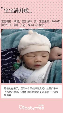 journal_insert_pic_1139331820