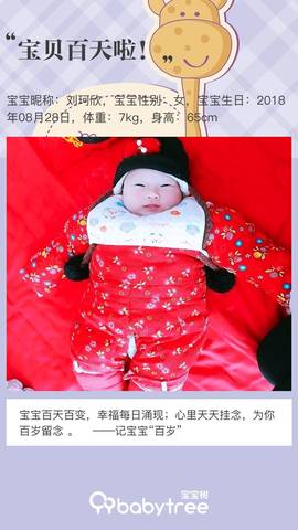 journal_insert_pic_1140493501