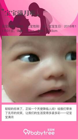 journal_insert_pic_1141440456