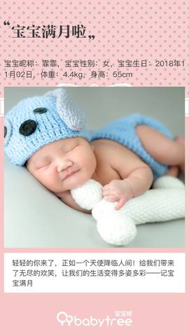 journal_insert_pic_1141718804