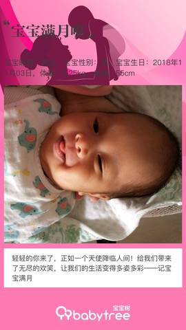 journal_insert_pic_1141612048