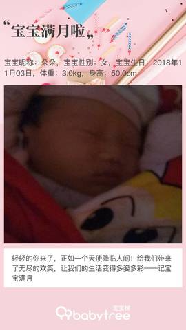 journal_insert_pic_1142528927