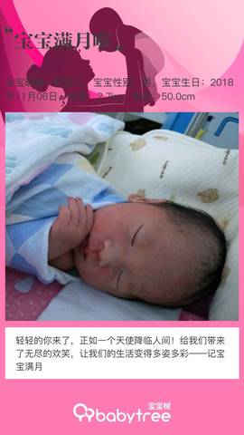 journal_insert_pic_1142561880
