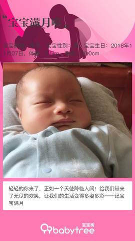 journal_insert_pic_1145280428