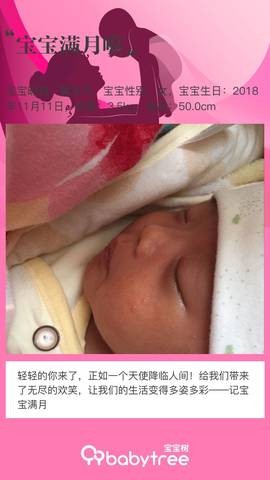 journal_insert_pic_1145664232