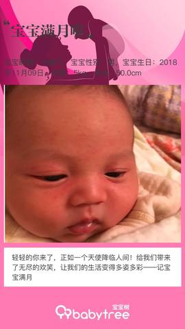 journal_insert_pic_1146176146