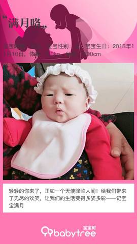 journal_insert_pic_1146908449
