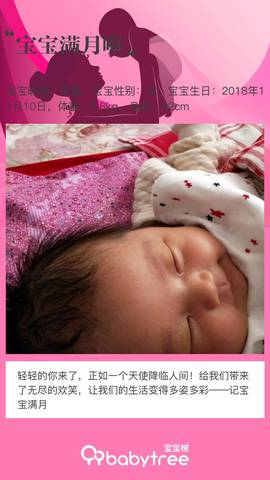 journal_insert_pic_1147231702
