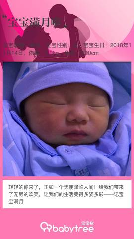 journal_insert_pic_1147054628