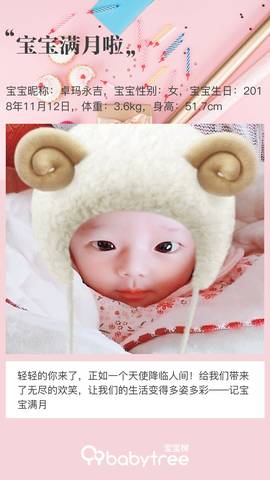 journal_insert_pic_1147109352