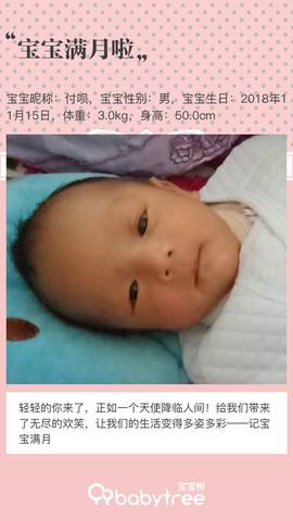 journal_insert_pic_1147229610