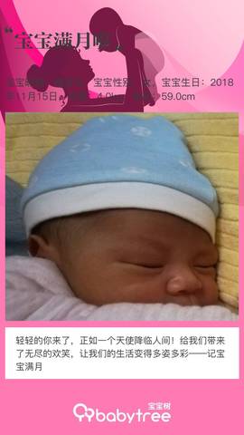 journal_insert_pic_1147103284