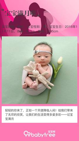 journal_insert_pic_1147571023