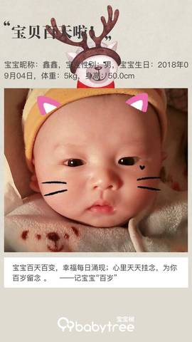 journal_insert_pic_1147980864