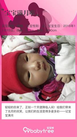journal_insert_pic_1148185220