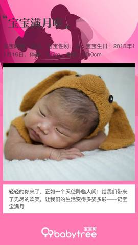 journal_insert_pic_1148547634