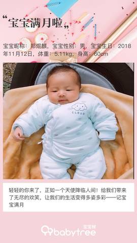 journal_insert_pic_1148645437