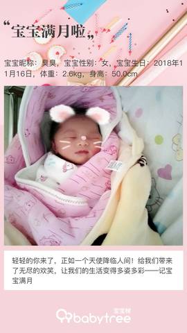 journal_insert_pic_1148513351