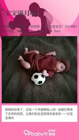 journal_insert_pic_1148925588