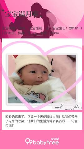 journal_insert_pic_1149234788