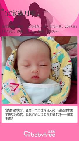 journal_insert_pic_1149004796