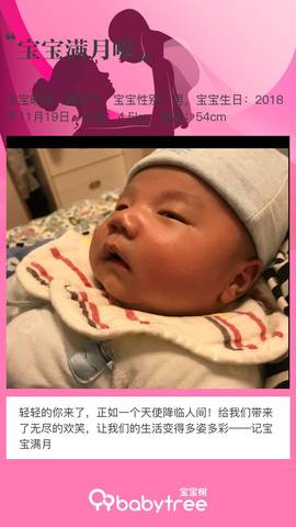 journal_insert_pic_1149802439