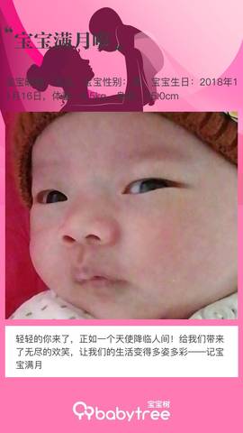 journal_insert_pic_1150037736