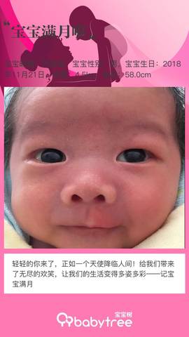 journal_insert_pic_1151503940