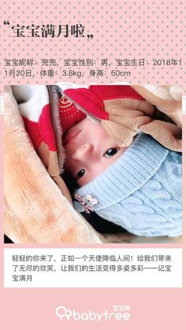 journal_insert_pic_1151196387