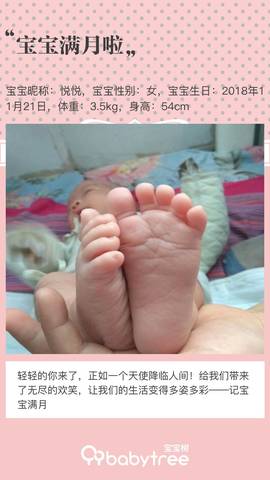 journal_insert_pic_1151691322