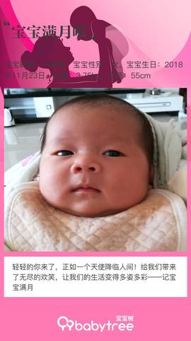 journal_insert_pic_1151842916