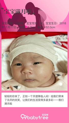 journal_insert_pic_1151843087