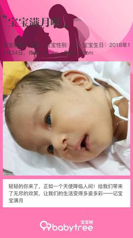 journal_insert_pic_1152032087