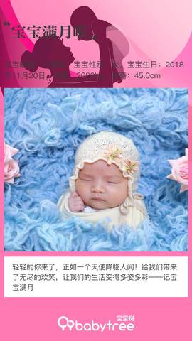 journal_insert_pic_1152134790