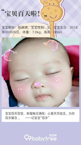 journal_insert_pic_1152641146