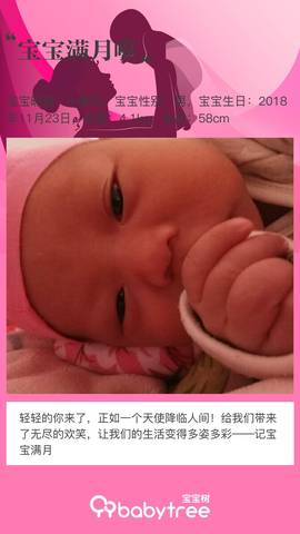 journal_insert_pic_1152484059