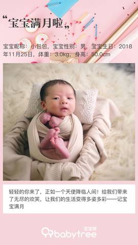 journal_insert_pic_1152208666