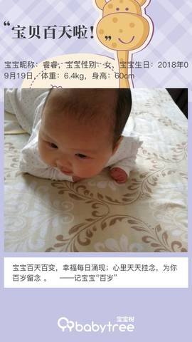 journal_insert_pic_1155641906