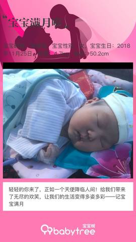 journal_insert_pic_1156052283