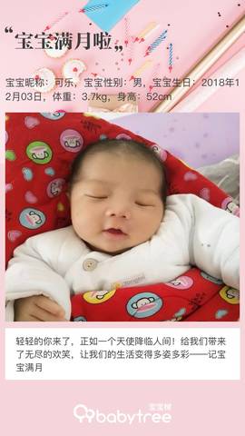 journal_insert_pic_1156784989