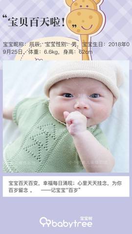 journal_insert_pic_1157639491