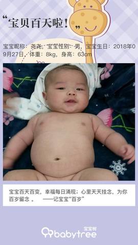 journal_insert_pic_1159033972
