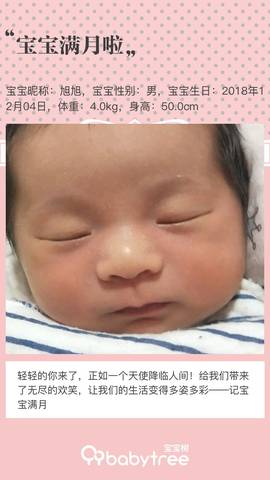 journal_insert_pic_1158474286