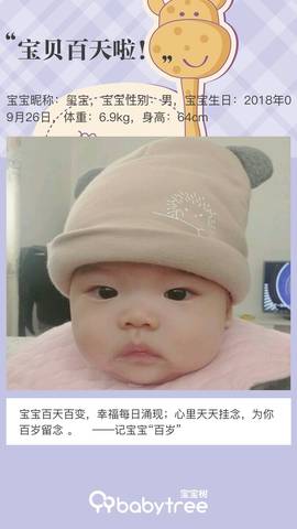 journal_insert_pic_1159702840