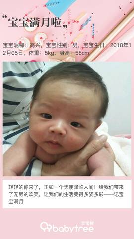 journal_insert_pic_1161539564